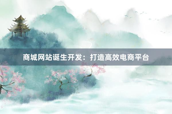 商城网站诞生开发：打造高效电商平台
