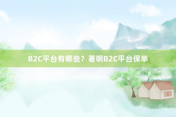 B2C平台有哪些？著明B2C平台保举