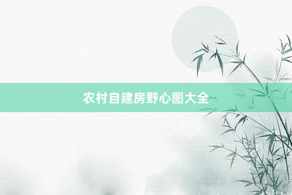 农村自建房野心图大全